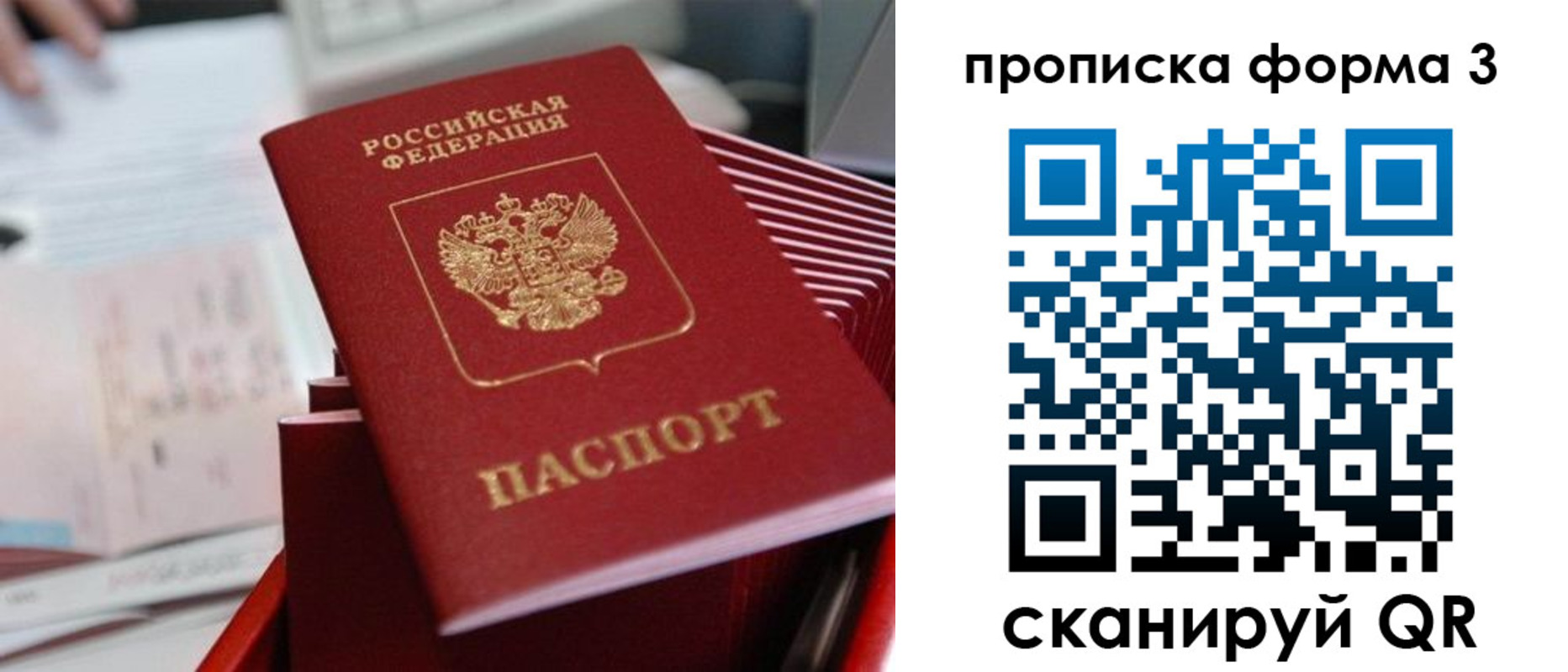 временная регистрация гарантия в Алтайском крае